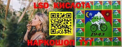 дживик Моздок