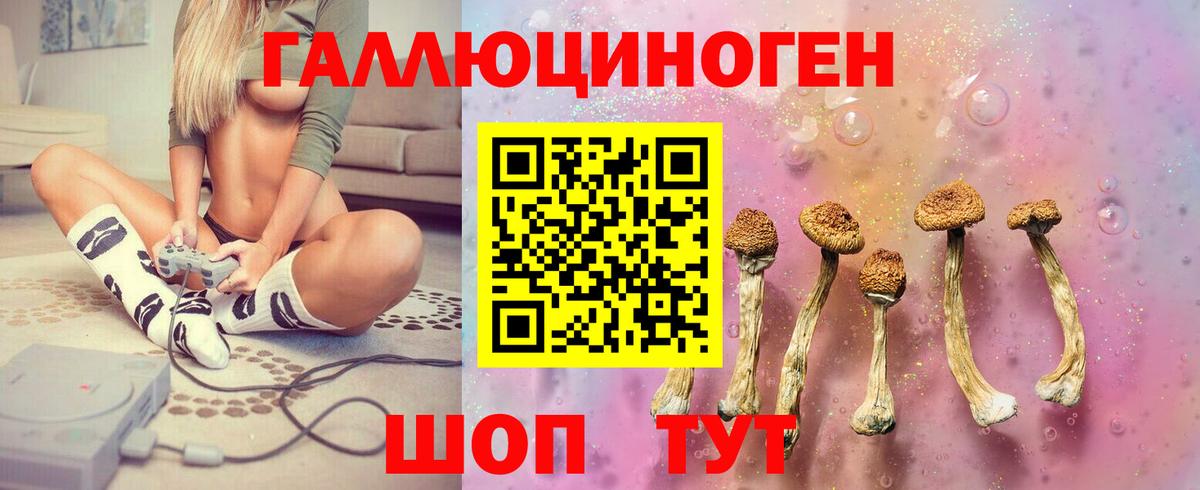 Галлюциногенные грибы мухоморы  Вход с VPN  Топки  Псилоцибиновые грибы GOLDEN TEACHER 